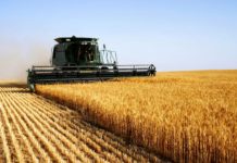 Topul celor mai mari câștiguri din agricultură din Olt