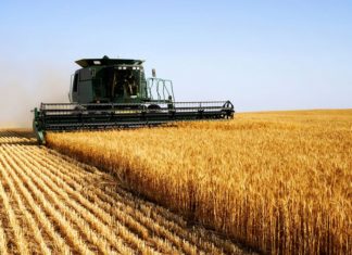 Topul celor mai mari câștiguri din agricultură din Olt