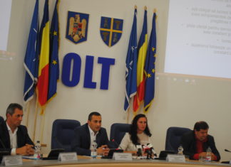 Ministrul Natalia-Elena Intotero, la Slatina: „O comunicare directă cu cetățenii din localitățile dumneavoastră care sunt în afara granițelor ar fi de un real folos”