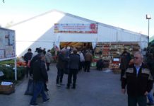 Ziua Recoltei la Slatina, sărbătorită cu invitați de seamă