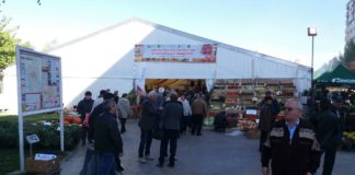 Ziua Recoltei la Slatina, sărbătorită cu invitați de seamă