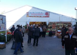 Ziua Recoltei la Slatina, sărbătorită cu invitați de seamă