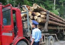 TRANSPORTA LEMNE CU AVIZE EXPIRATE