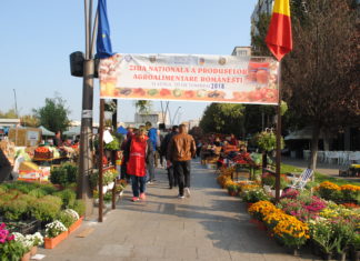 Ziua Recoltei, la Slatina! Sărbătoarea a strâns sute de producători și cumpărători