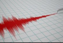 Acestea sunt semnele care prevestesc un cutremur cu 24 de ore înainte