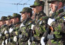 Activități dedicate Zilei Armatei Române desfășurate de CMJ Olt
