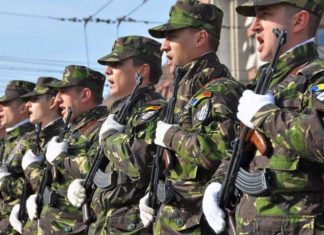 Activități dedicate Zilei Armatei Române desfășurate de CMJ Olt