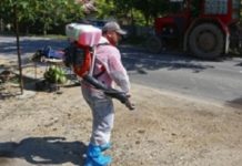 Epidemia de pestă porcină ia amploare în județul vecin – Autoritățile sunt în alertă