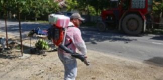 Epidemia de pestă porcină ia amploare în județul vecin – Autoritățile sunt în alertă