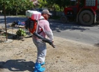 Epidemia de pestă porcină ia amploare în județul vecin – Autoritățile sunt în alertă