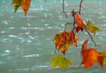 Informare de vreme deosebit de rece, în toată țara