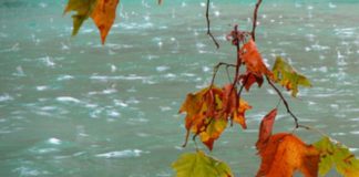 METEO. Temperaturile scad dramatic. Când începe iarna