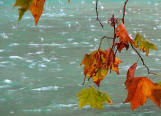 METEO. Temperaturile scad dramatic. Când începe iarna