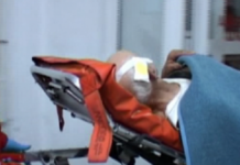 Din păcate, a murit!