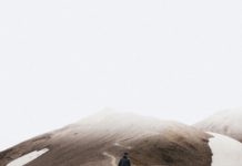 CĂRAREA „PAŞILOR PIERDUŢI”