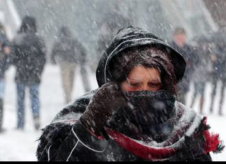 Vine GERUL în Oltenia