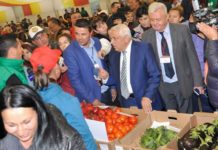 Vești bune pentru agricultori! Cine ar putea primi bani de la 1 ianuarie 2019