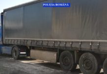 Zeci de metri cubi de lemn, confiscaţi de polițiștii olteni