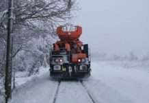 Tren oprit de copacii căzuți pe calea ferată Sibiu -Caracal