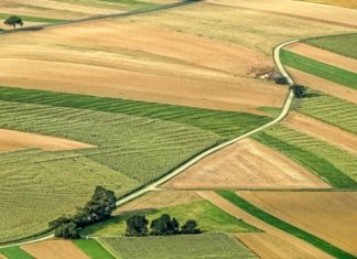 Cadastru gratuit în 536 de comune