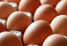 Zeci de mii de ouă contaminate cu Fipronil au ajuns la o societate din Olt. 6.000 de ouă au fost retrase de la comercializare de DSVSA Olt