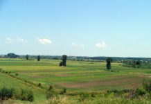 Olt: Peste 50.000 de cărți funciare, eliberate gratuit în 2018