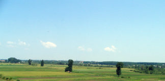 Olt: Peste 50.000 de cărți funciare, eliberate gratuit în 2018