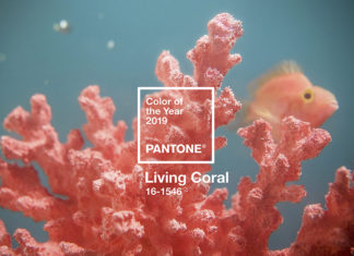 Living Coral – culoarea anului 2019