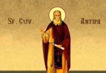 Sfântul Cuvios Antipa de la Calapodeşti este pomenit la 10 ianuarie