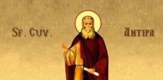 Sfântul Cuvios Antipa de la Calapodeşti este pomenit la 10 ianuarie