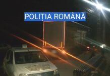 Două autoutilitare cu cherestea, confiscate de poliţiştii olteni la Pleșoiu