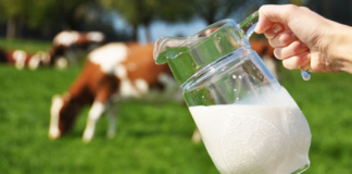 Harta laptelui fals. Județele în care consumatorii sunt înșelați cu lactate falsificate!