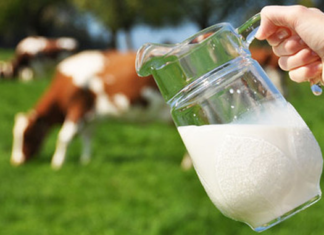 Harta laptelui fals. Județele în care consumatorii sunt înșelați cu lactate falsificate!