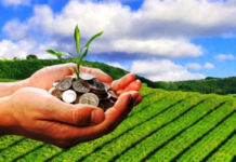 Miniștrii Chesnoiu și Câciu au stabilit lista ajutoarelor de stat ce se acordă fermierilor în acest an