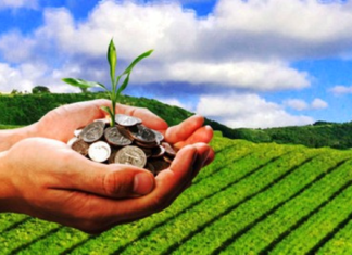 IMPOZITE ÎN AGRICULTURĂ 2019: ANUNȚUL URGENT DE LA ANAF pentru FERMIERI!