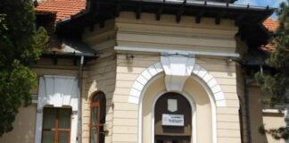 Peste 600 de societăți debutante, înființate în Olt