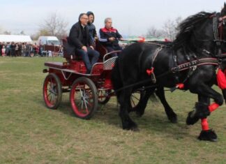 N-a rămas de căruţă…