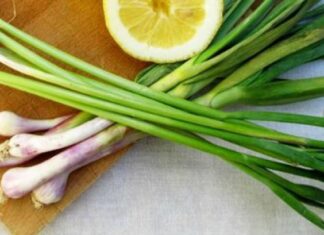 Beneficiile usturoiului verde pentru sănătate