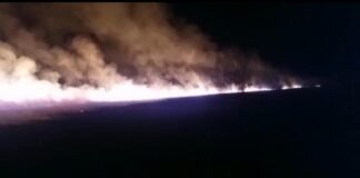 4 incendii în doar 24 de ore