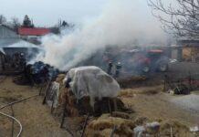 Furaje arse într-o gospodărie din Dăneasa