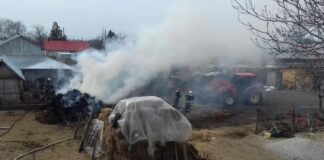 Furaje arse într-o gospodărie din Dăneasa