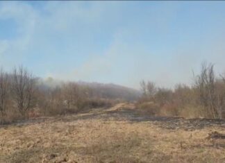 ISU Olt trage un semnal de alarmă!