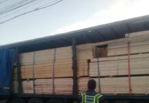 Material lemnos, confiscat de poliţiştii din Olt