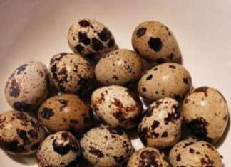 Ouăle de prepelita, printre cele mai bune medicamente naturale