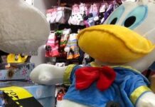 5 dosare penale pentru nerespectarea drepturilor de proprietate intelectuală