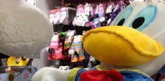 5 dosare penale pentru nerespectarea drepturilor de proprietate intelectuală