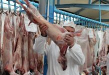 Miel sau câine? Cum ne dăm seama ce punem pe masa de Paşte