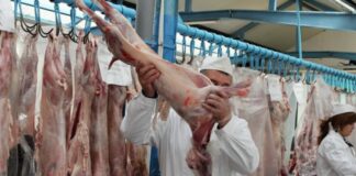 Controalele inspectorilor sanitari veterinari au scos la iveală nereguli grave în județul Olt