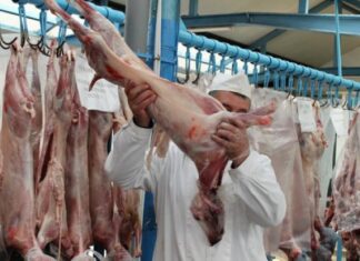 Controalele inspectorilor sanitari veterinari au scos la iveală nereguli grave în județul Olt