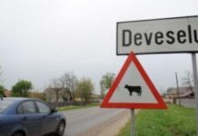 INEDIT. Curtea de Conturi Olt laudă Primăria Deveselu